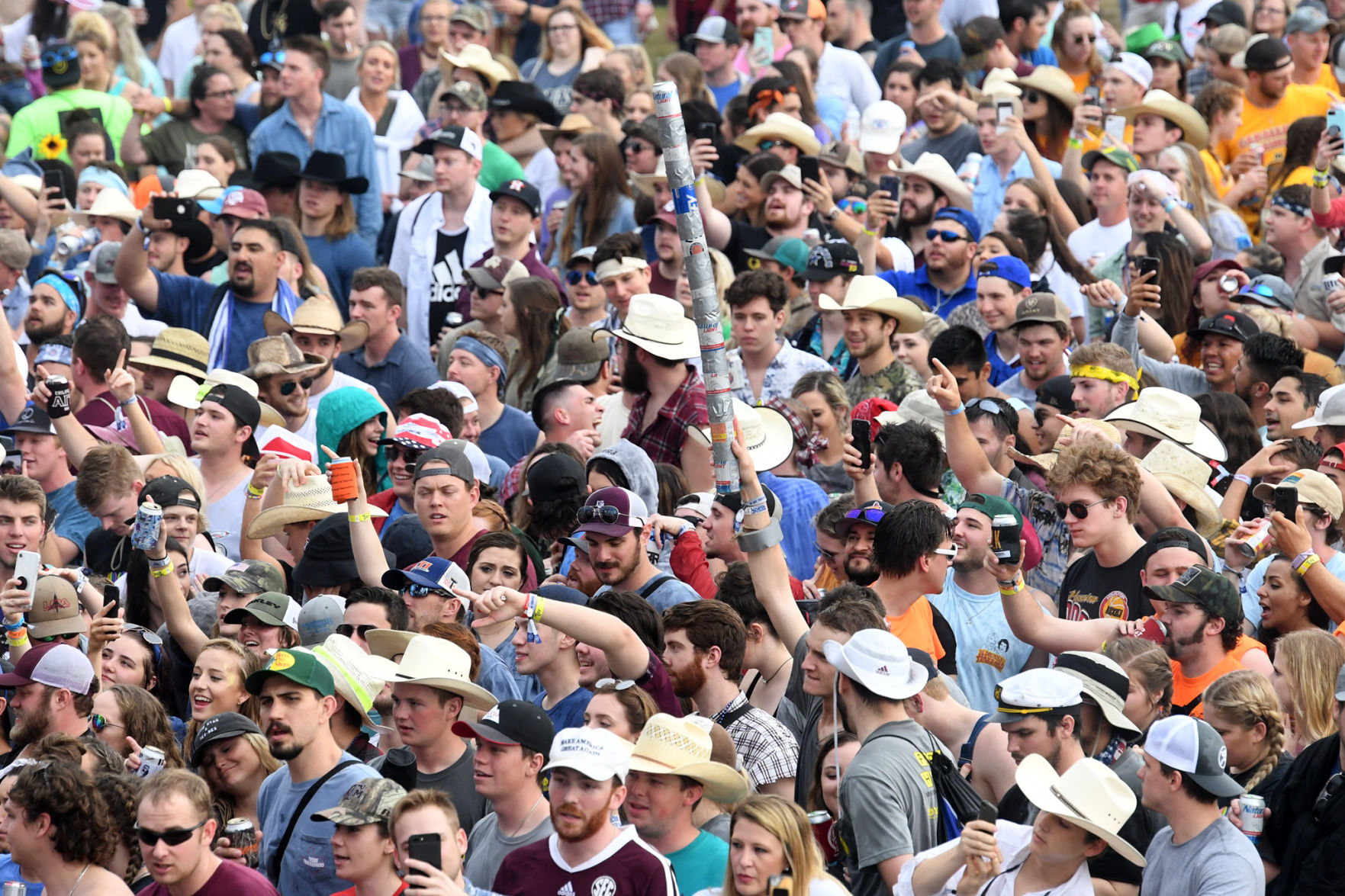 Chilifest 2019